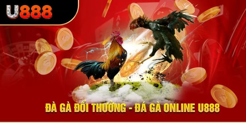 Da ga U888 tham gia online doi thuong truc tuyen