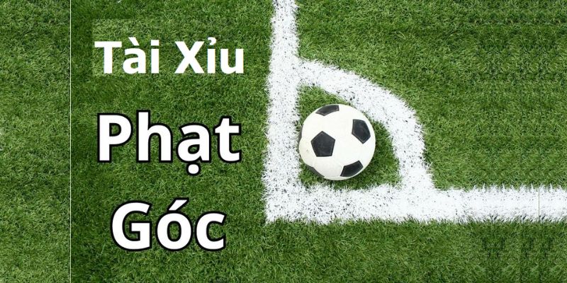 Tai xiu phat goc la gi